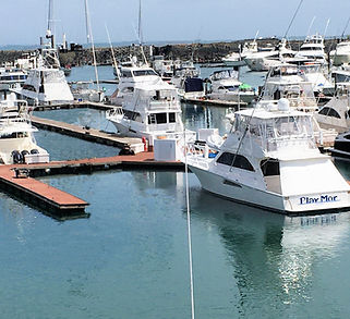Marina con muelles flotantes estabilizados sin pilotes visibles